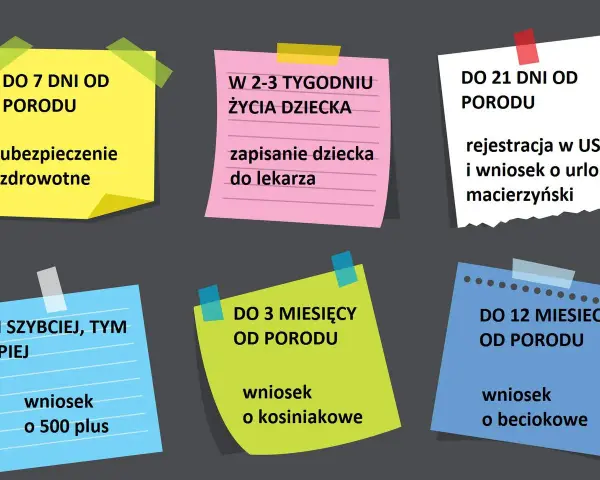 Terminy formalności po porodzie: ubezpieczenie zdrowotne (7 dni), rejestracja dziecka i wniosek o urlop macierzyński (21 dni), 500+, becikowe, kosiniakowe.