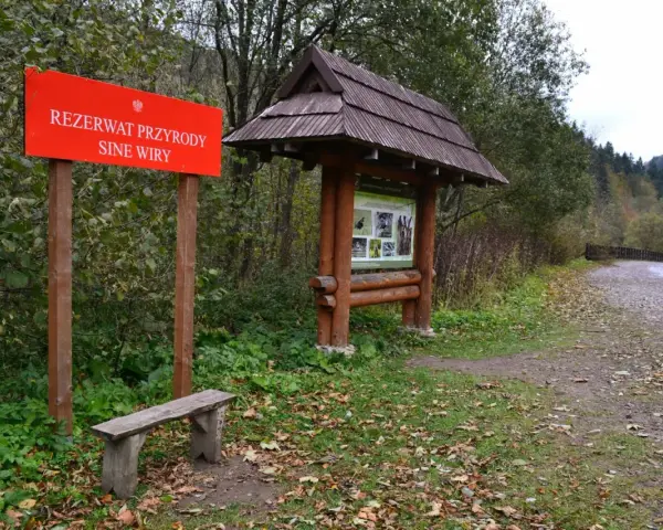 Czerwony znak "Rezerwat Przyrody Sine Wiry" i drewniana tablica informacyjna przy leśnej ścieżce.