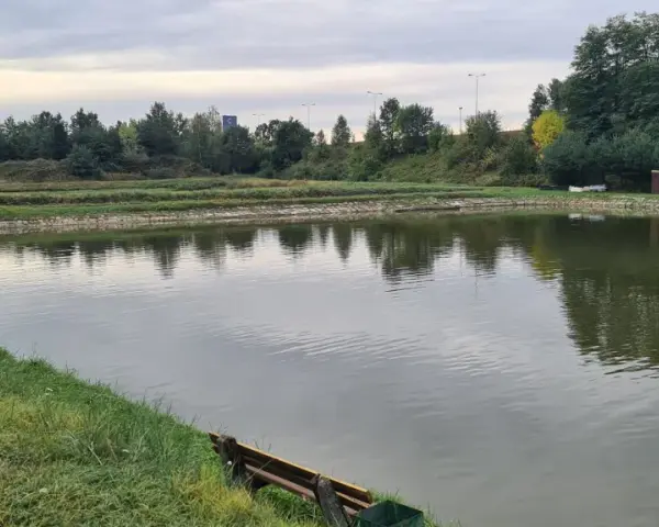 Spokojne łowiska komercyjne na Dolnym Śląsku, otoczone zielenią i drzewami, zapraszają na relaks nad wodą.