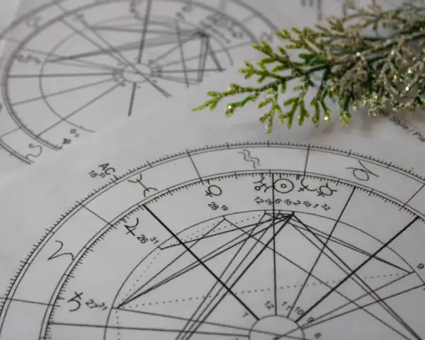 Dwa kosmogramy astrologii wedyjskiej leżą obok siebie, ozdobione gałązką iglastą.