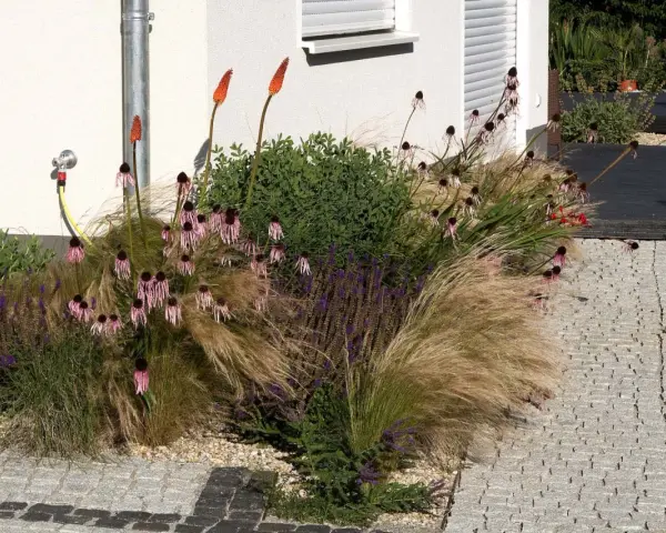 Blumenbeet an Hauswand: Feuchtigkeit durch Wasserhahn und Bewässerungssystem. Ziergräser, Sonnenhut und Fackellilien blühen üppig.