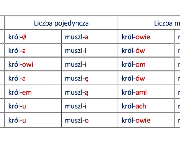 Tabela pokazuje odmiana przez przypadki słów "król" i "muszla" w liczbie pojedynczej i mnogiej.