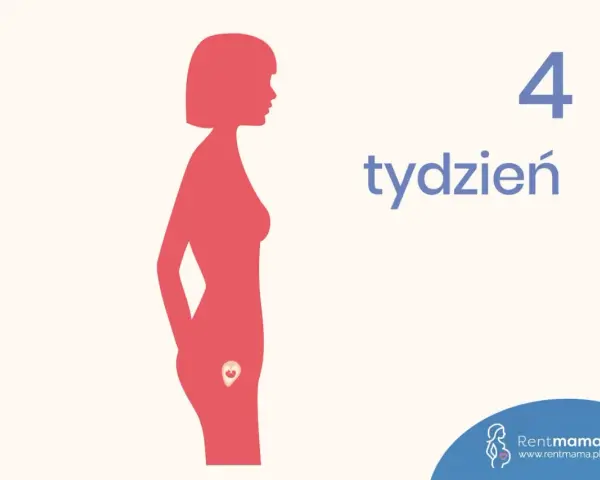 Sylwetka kobiety z zaznaczonym zarodkiem w macicy. Obok widnieje napis "4 tydzień ciąży".