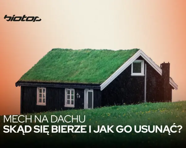 Zielony mech porasta dach małego, czarnego domku. Tekst pyta: "Mech na dachu: skąd się bierze i jak go usunąć?".