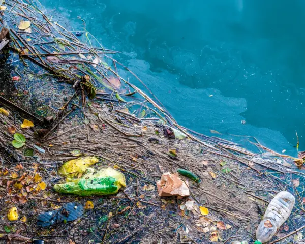 Plastikowe butelki, torby i śmieci unoszą się na wodzie, ilustrując przyczyny zanieczyszczenia Bałtyku.
