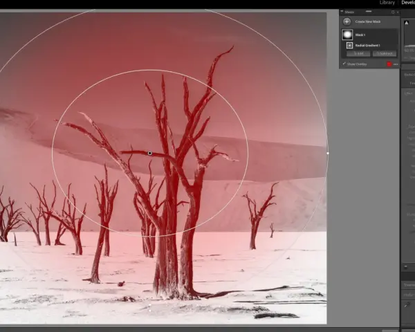 Arbres morts dans un désert, avec un filtre radial lightroom appliqué pour un effet dramatique.