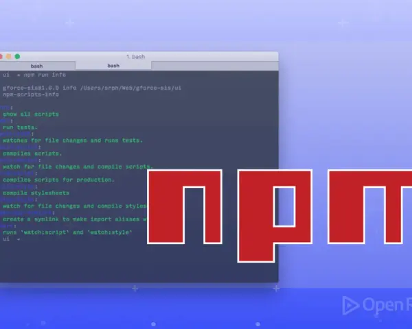 npm-Skripte im Terminal, die mit `npm ci` oder `npm run` ausgeführt werden. Das npm-Logo ist prominent platziert.