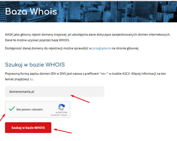 Jak sprawdzić właściciela domeny mimo RODO? Pełny poradnik