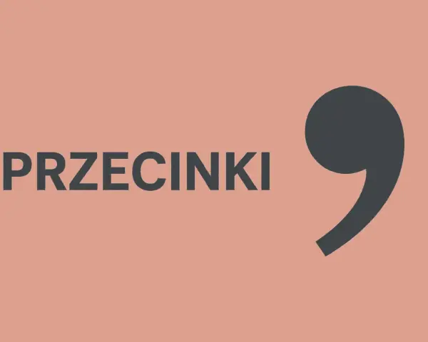 Duży, ciemnoszary przecinek obok napisu "PRZECINKI".