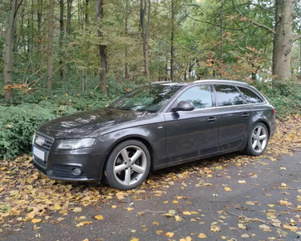 Dunkelgrauer Audi A4 Avant 2008 parkt im Herbstwald, umgeben von Laub.