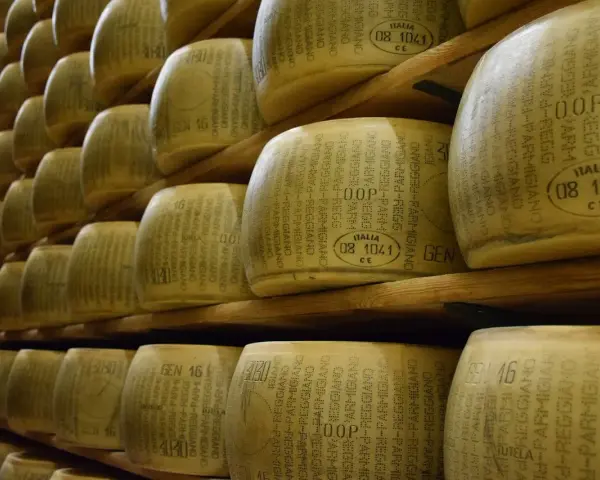 Siatki kręgów sera Parmigiano Reggiano, gotowe do dojrzewania. Ile po otwarciu? To pytanie zadaje sobie każdy miłośnik tego włoskiego specjału.