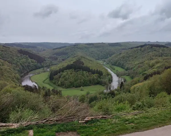 Malowniczy zakole rzeki w zielonych Ardenach, otoczone wzgórzami porośniętymi lasem.