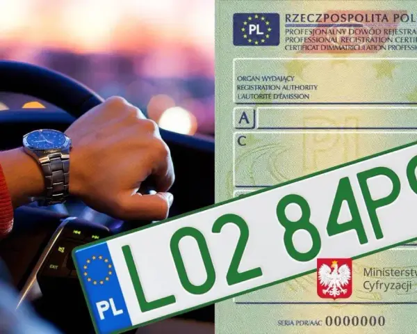 Ręka kierowcy z zegarkiem na nadgarstku, obok zielone tablice rejestracyjne w Polsce i dowód rejestracyjny.