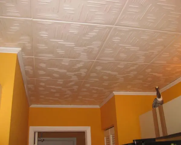 Soffitto con pannelli in polistirolo decorati, un esempio di come montare pannelli polistirolo soffitto per un look moderno.