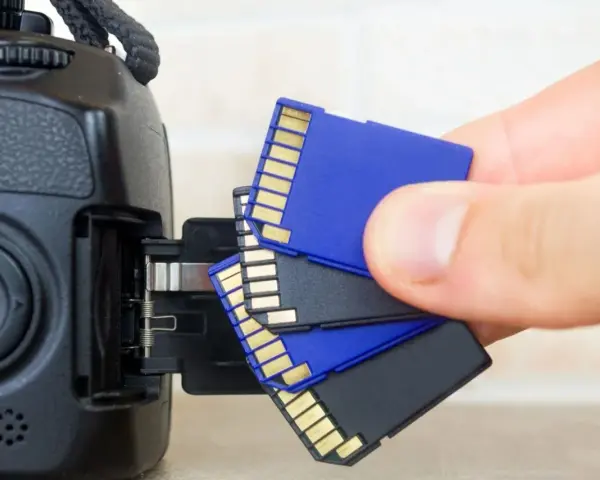 Main tenant, une main s'apprête à insérer une carte SD dans un appareil photo. Il est temps de choisir la carte SD parfaite pour vos souvenirs.
