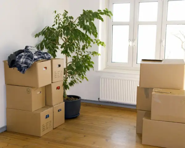 Umzugskartons stapeln sich in einem Zimmer, bereit für den Einzug in Hamburg. Ein grüner Ficus und ein Fenster mit Blick nach draußen.