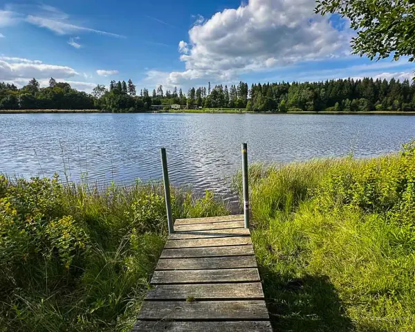 Holzsteg führt zu einem ruhigen Badesee im Harz, umgeben von grünen Ufern und Bäumen unter blauem Himmel mit Wolken.