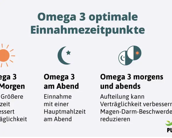 Omega 3 optimale Einnahmezeitpunkte: morgens zur größeren Mahlzeit, abends zur Hauptmahlzeit oder aufgeteilt für bessere Verträglichkeit.
