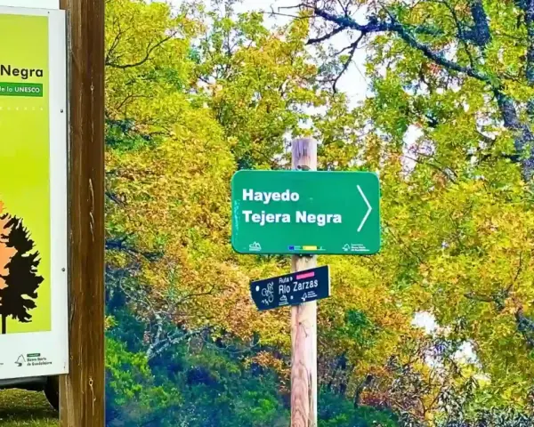 Cartel de bienvenida al Hayedo de Tejera Negra, Patrimonio Mundial de la UNESCO. Señalización de senderos en un bosque otoñal.