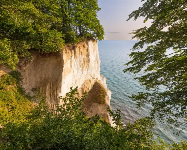 Weiße Kreidefelsen ragen steil aus dem ruhigen Meer der Ostsee. Grüne Bäume säumen die Klippen und bieten einen friedlichen Ausblick.