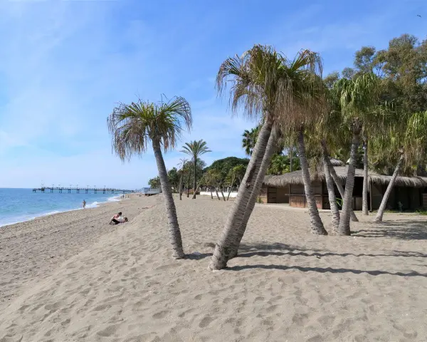 Plaża w Marbelli z palmami, piaskiem i budynkiem z krytym strzechą dachem. W oddali widać molo i błękitne morze.