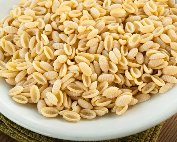 Un primo piatto di gnocchetti sardi, pasta tipica della Sardegna, in un piatto bianco.