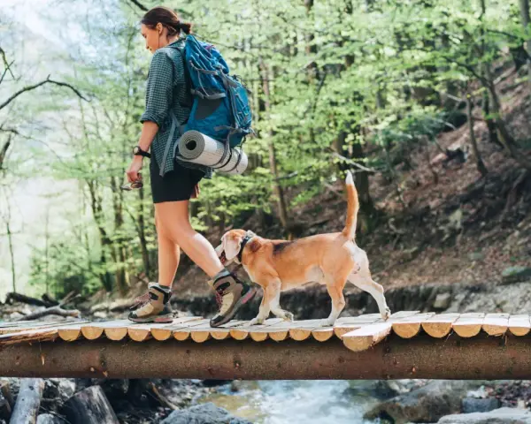 Donna con zaino e cane beagle attraversa un ponte di legno durante un'avventura di trekking con il cane in un bosco verdeggiante.