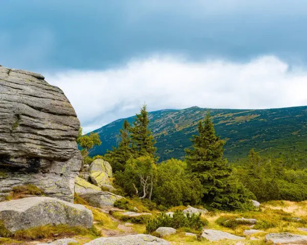 Góry Karkonosze, Czechy, co warto zobaczyć blisko granicy: skalne formacje, lasy i szczyty. Idealne miejsce na wędrówkę.