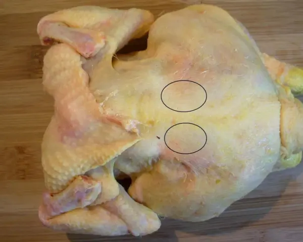 Un poulet cru sur une planche à découper en bois. Deux cercles noirs entourent des zones de chair où l'on peut voir des fibres musculaires. On dirait que le sot l'y laisse.