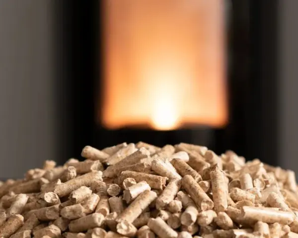 Un mucchio di pellet, combustibile ecologico, pronto per alimentare un fuoco caldo. Il pellet a cosa serve? A riscaldare le case in modo sostenibile.