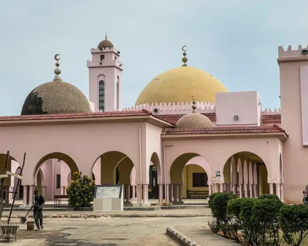 Różowa budowla z kopułami i minaretem, przypominająca meczet, w stolicy Tanzanii. Obok plac budowy.