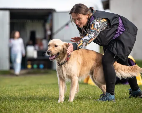 Jak skutecznie szkolić golden retrievera i unikać problemów z posłuszeństwem