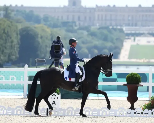 Un cavalier dressage français, en tenue bleue et blanche, monte un cheval noir dans une carrière. Le château de Versailles est visible en arrière-plan.