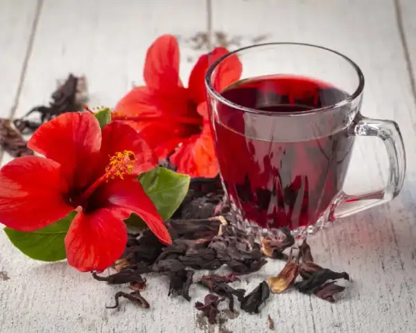Herbata z hibiskusa: Parzenie, właściwości i przepisy na każdą porę