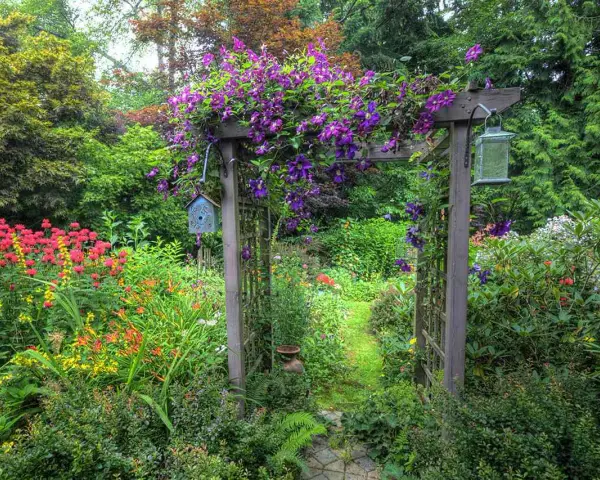 Ein Holzbogen, üppig mit lila Clematis bewachsen, markiert den Eingang zu einem blühenden Garten. Ein Vogelhaus und eine Laterne zieren den Bogen.