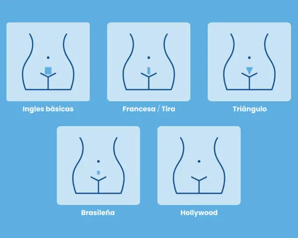 Ilustraciones de diferentes estilos de afeitado y depilación íntima: ingles básicas, francesa, triángulo, brasileña y Hollywood.