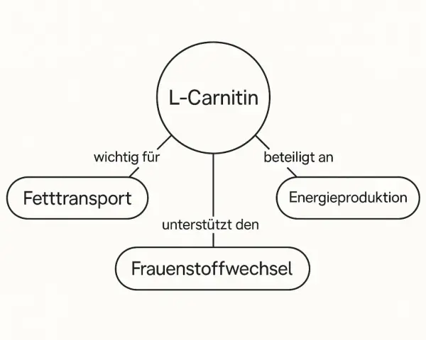 L-Carnitin ist wichtig für den Fetttransport, beteiligt an der Energieproduktion und unterstützt den Frauenstoffwechsel.