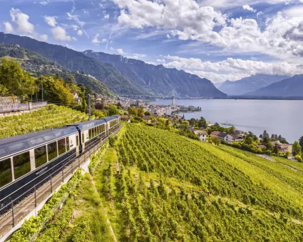 A train travels through lush vineyards overlooking a lake and mountains, part of the scenic Golden Pass Montreux to Interlaken route.