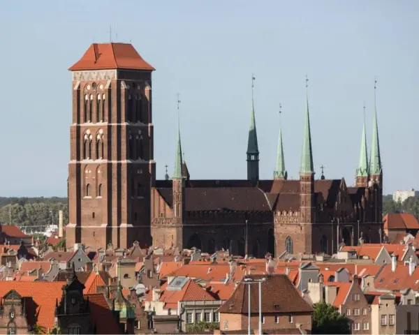 Imponująca wieża Mariacka w Gdańsku, której wysokość robi wrażenie, góruje nad miastem.