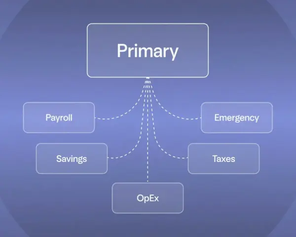 Diagram showing a "Primary" account connected to multiple business checking accounts: Payroll, Savings, OpEx, Emergency, and Taxes.