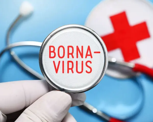 Borna Virus Symptome: Warnsignale, die Sie nicht ignorieren sollten