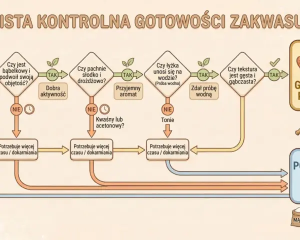 Schemat kontroli zakwasu chlebowego. Sprawdź, czy jest bąbelkowy, pachnie drożdżowo i unosi się na wodzie. Jeśli nie, potrzebuje więcej czasu na dokarmianie.