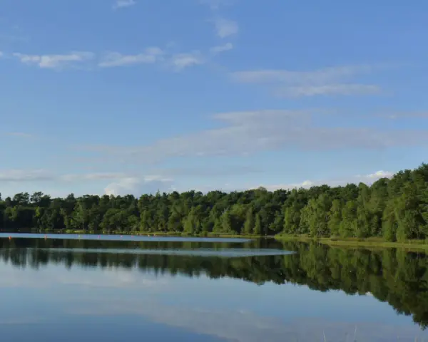 Idyllischer Bullensee in Rotenburg, umgeben von dichtem grünen Wald, spiegelt sich im ruhigen Wasser unter blauem Himmel mit Wolken.