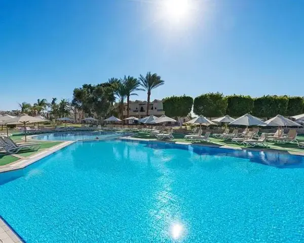 Reef Oasis Beach Resort: Guida Completa e Recensioni 2024