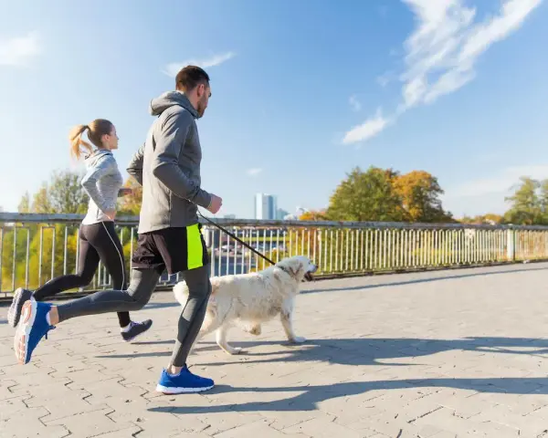 Coppia che corre con il cane su un ponte in una giornata di sole.
