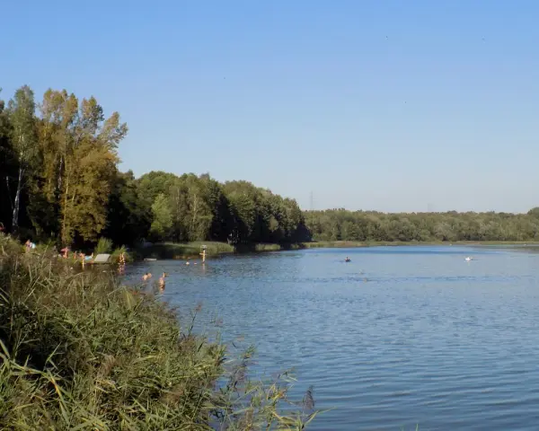 Letnie popołudnie nad jeziorem Rogoźnik. Ludzie kąpią się i odpoczywają na plaży wśród zieleni.