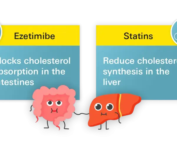 Ezetymib blokuje wchłanianie cholesterolu w jelitach, podczas gdy statyny redukują jego syntezę w wątrobie.