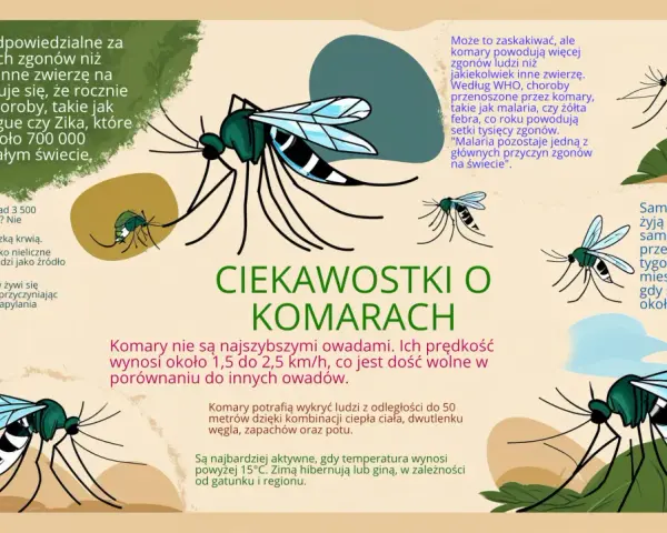Czy komary są pożyteczne? Większość żywi się nektarem, zapylając rośliny. Choć przenoszą choroby, nie wszystkie gatunki piją krew.
