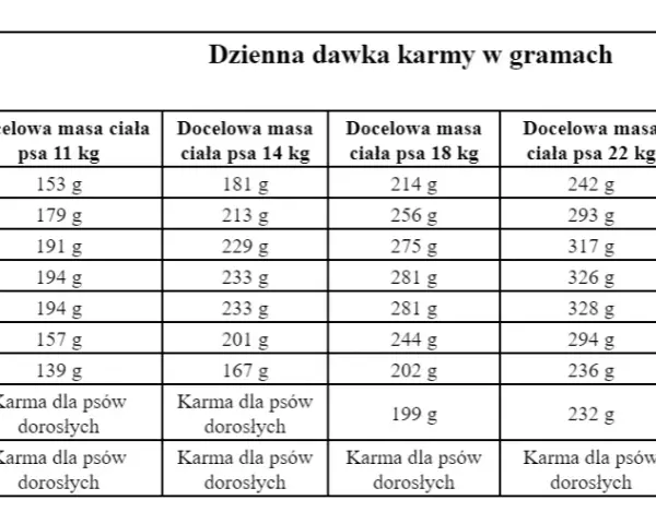 Ile karmić szczeniaka, aby zapewnić mu zdrowy rozwój i wagę?