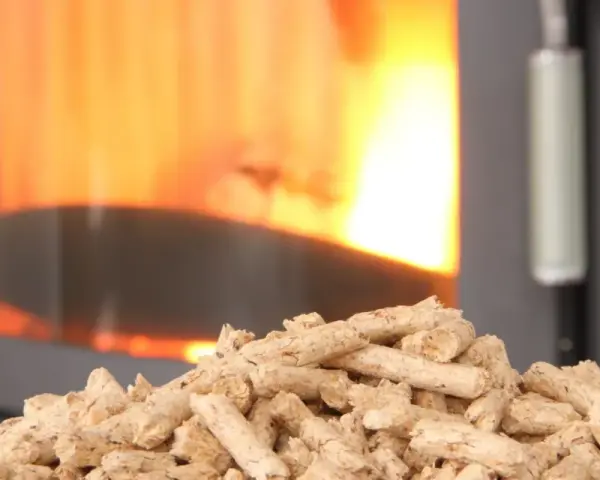 Un tas de granulés de bois attend patiemment devant un poêle à granule en feu. La chaleur réconfortante du feu promet une ambiance chaleureuse.